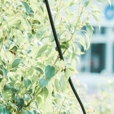 196体育(官方)APP下载安装